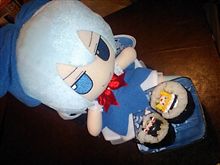 まきますか？まきかせんか？