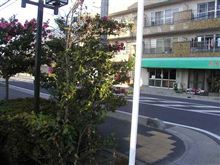 ( Д )現場百見 ( Д )現場百見