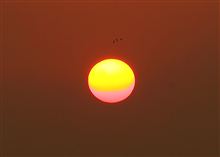 今度は・・・これが折れました。（涙）