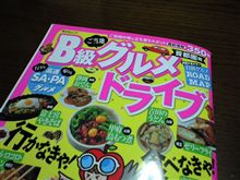 こんなの買ってきた