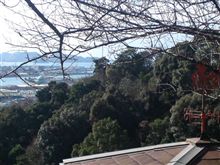長かった…