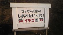 イチゴ＆海鮮ランチ♪