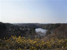 宮沢湖温泉