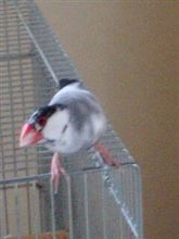 おはようございます～♪