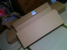 大きさは…