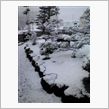 大雪