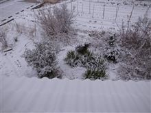 雪国？？？