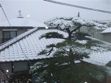 雪ナウ
