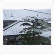 雪ナウ