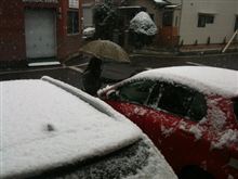 雪だ！