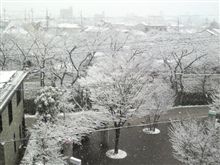 何気に 何気に