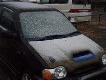関東人から見れば、誰がなんと言おうと大雪です。