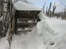 新野地温泉相模屋旅館（野天風呂）