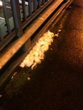 大雪警報です！