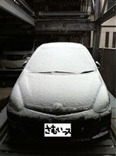 大阪の雪