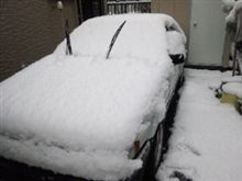 雪化粧(*≧∀≦*)