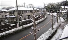 連休二日目