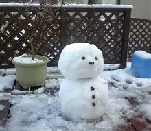 大雪?part2 大雪?part2