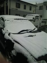 まさかの雪＾＾；