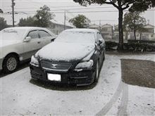 今日は一面雪です。 