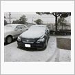 今日は一面雪です。