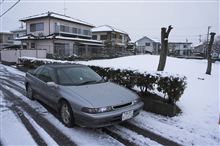 SVX、本領発揮　雪に埋もれる徳島