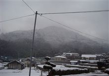 本日ハ晴天・・・デハナイ！
