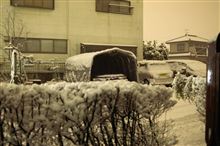雪