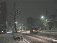 東京も雪