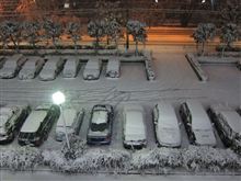 ドカっと雪