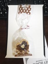 チョコです