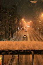 雪は夢のよう