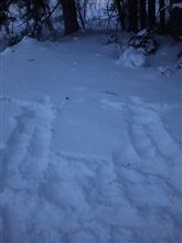 北海道はでっかいｄ(ry