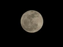 昨夜は満月