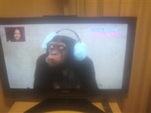 Ｗｏｏｏが