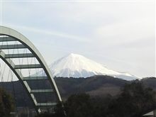 今日は機嫌がいいのかしら
