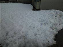 今日一日・・・ 今日一日・・・