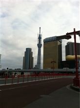 今日の新東京タワー