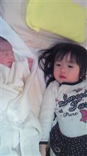 新たな命 新たな命