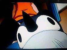 見えるところはあるのに