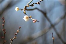休日の朝