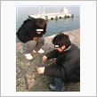 授業参観…