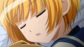あまりかまってあげられなかった