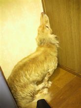 そんな嫌か～(￣０￣;