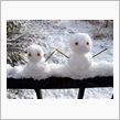 雪に阻まれ車中泊