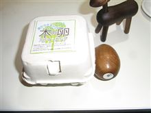 木卵