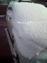 今朝も降ってる 今朝も降ってる