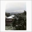 雪が・・・