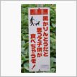 見るモノを変えてみると違う世 ...