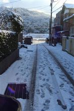 ３月だというのにまた雪だよ～